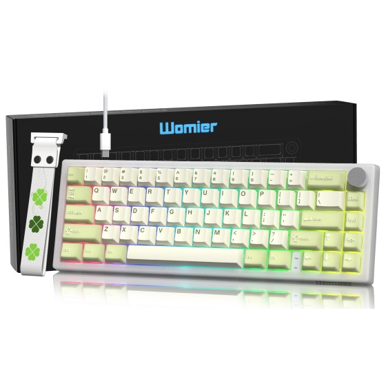 COSTOM Mechanical Gaming Keyboard, 60% QMK/VIA Creamy Mechanical Keyboard, RGB Cute Wired Keyboad with Hot Swappable Gasket,Green